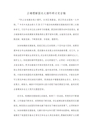 正确理解国内大循环研讨发言稿.docx