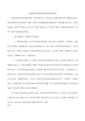 街道推动两新组织建设经验做法.docx