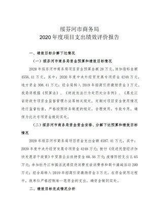 绥芬河市商务局2020年度项目支出绩效评价报告.docx