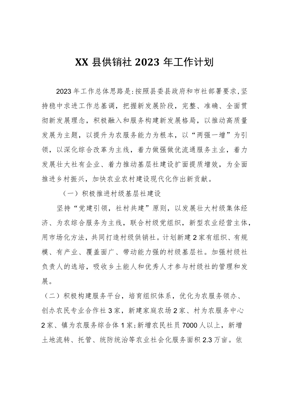 XX县供销社2023年工作计划.docx_第1页