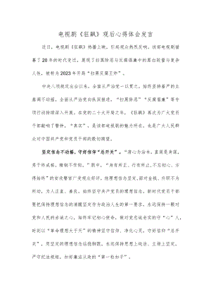 电视剧《狂飙》观后心得体会发言.docx