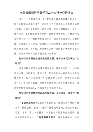 水务集团领导干部学习党的二十大精神心得体会.docx