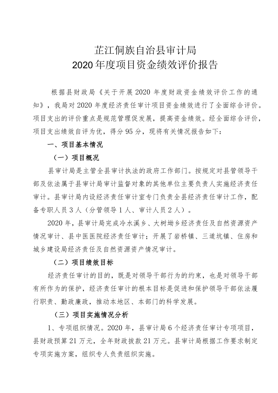 芷审发〔2021〕2号芷江侗族自治县审计局2020年度项目资金支出绩效评价报告.docx_第2页