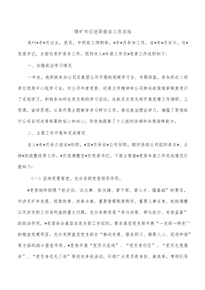 煤矿书记述职报告工作总结.docx