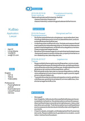 简约英文简历律师求职简历.docx