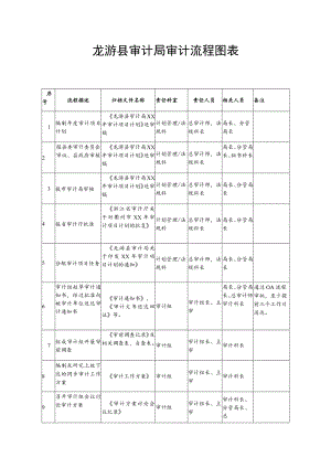 龙游县审计局审计流程图表.docx