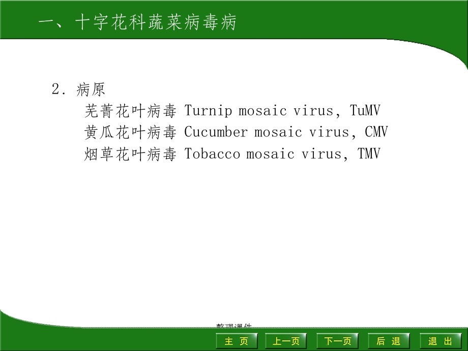 园艺植物病虫害防治十字花科蔬菜病虫害.ppt_第3页