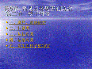 园林病虫害防治6园林病害防治常见的枝干病虫害.ppt