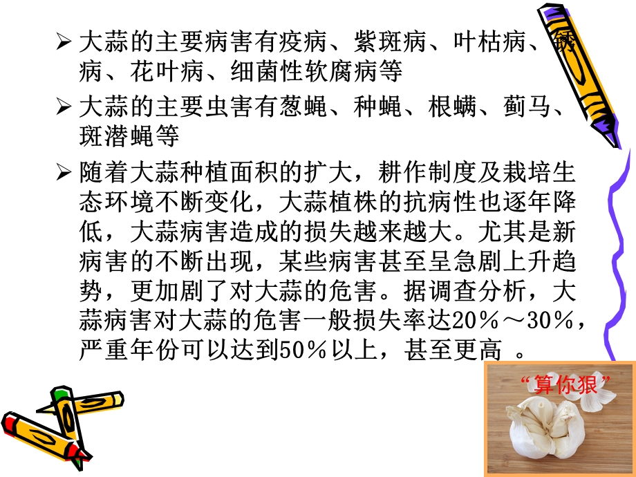 大蒜病虫害防控.ppt_第2页