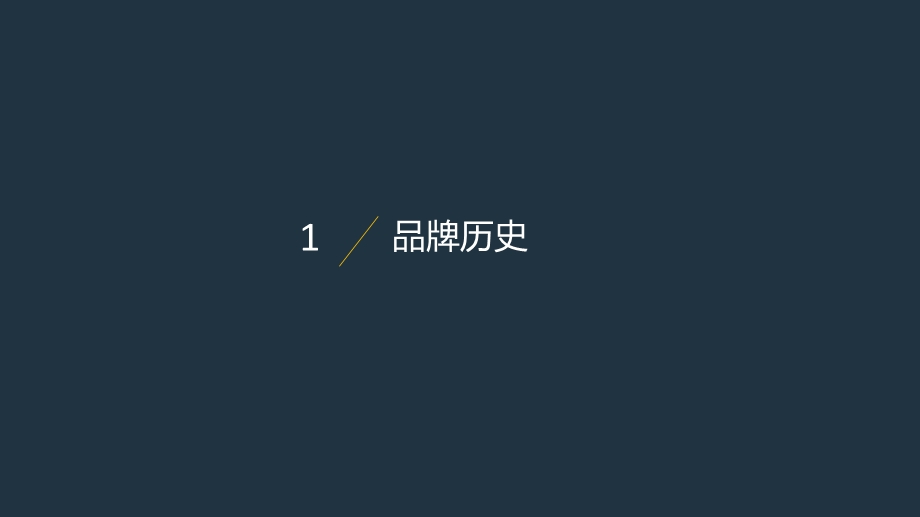 奔驰调研报告.ppt_第3页