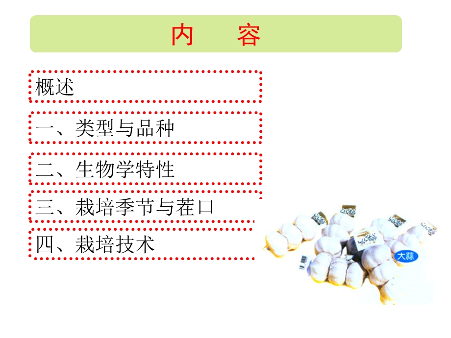 大蒜栽培技术.ppt_第2页