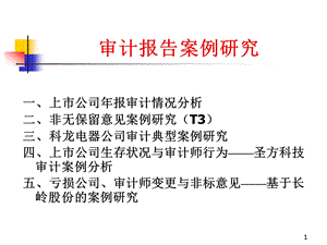 审计报告案例研究.ppt