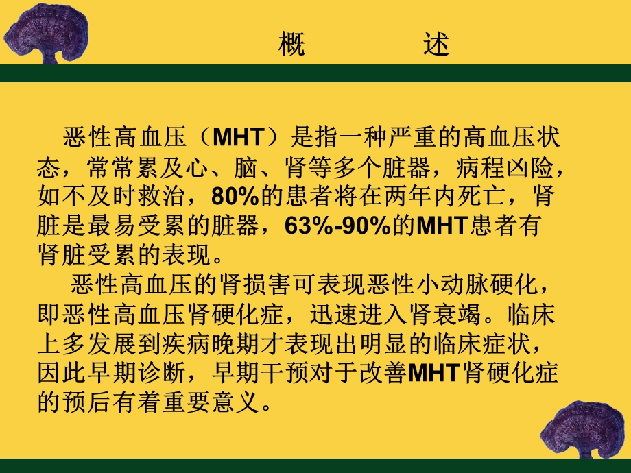 恶性高血压肾硬化症.ppt_第2页