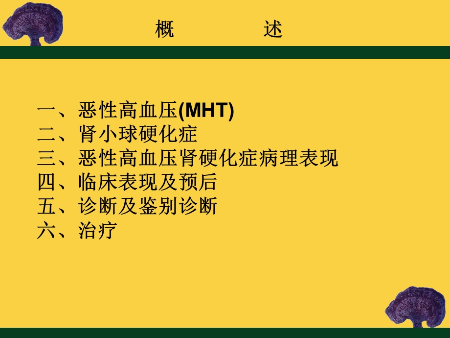 恶性高血压肾硬化症.ppt_第3页