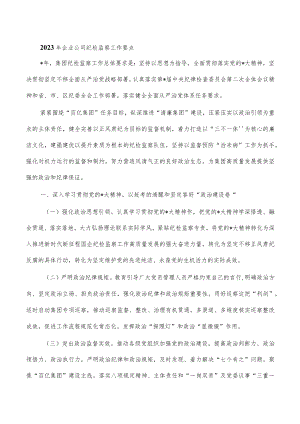 2023年企业公司纪检监察工作要点.docx