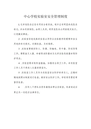 中心学校实验室安全管理制度.docx