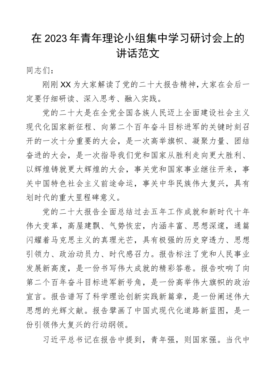 学习会讲话在2023年青年理论小组集中学习研讨会上的讲话范文二十大精神盛会报告青年干部年轻干部.docx_第1页