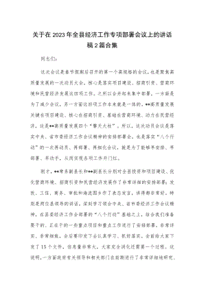 关于在2023年全县经济工作专项部署会议上的讲话稿2篇合集.docx