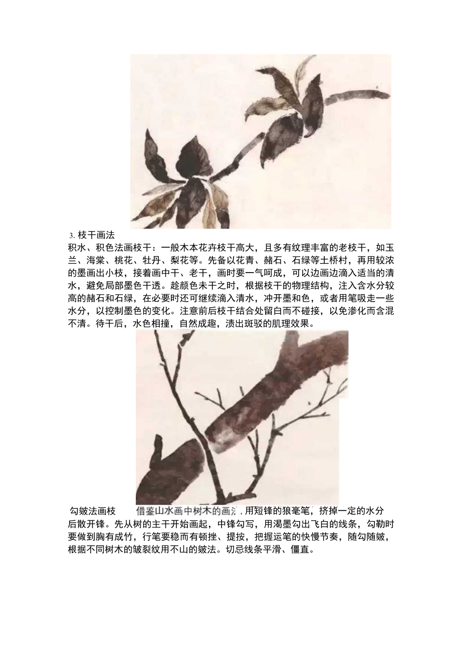 国画技法：没骨花鸟技法.docx_第3页