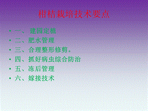 柑橘栽培技术PPT.ppt