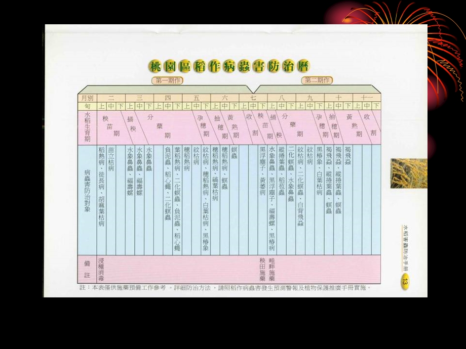 水稻病虫害防治..ppt_第2页