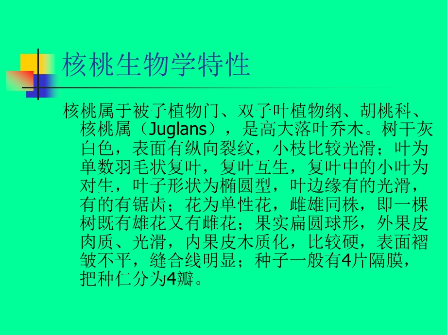 核桃栽培技术.ppt_第3页