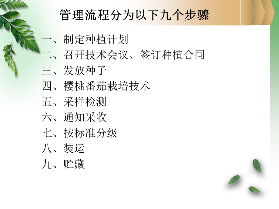 樱桃番茄栽培技术.ppt_第2页