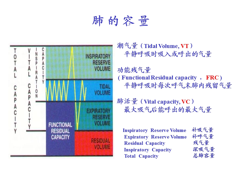 机械通气及临床应用.ppt_第3页