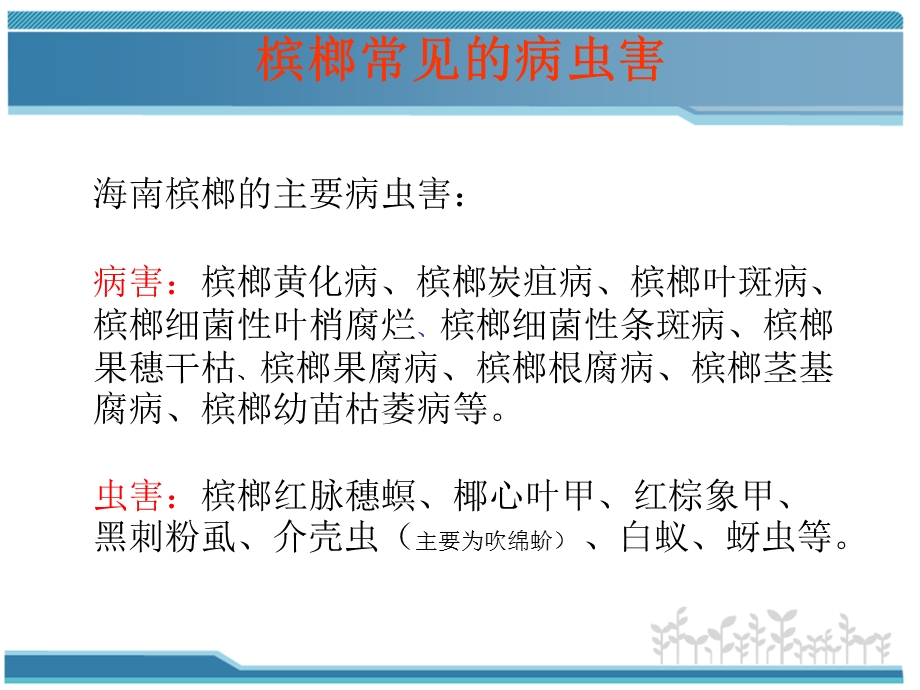 槟榔主要病虫害防治技术.ppt_第2页