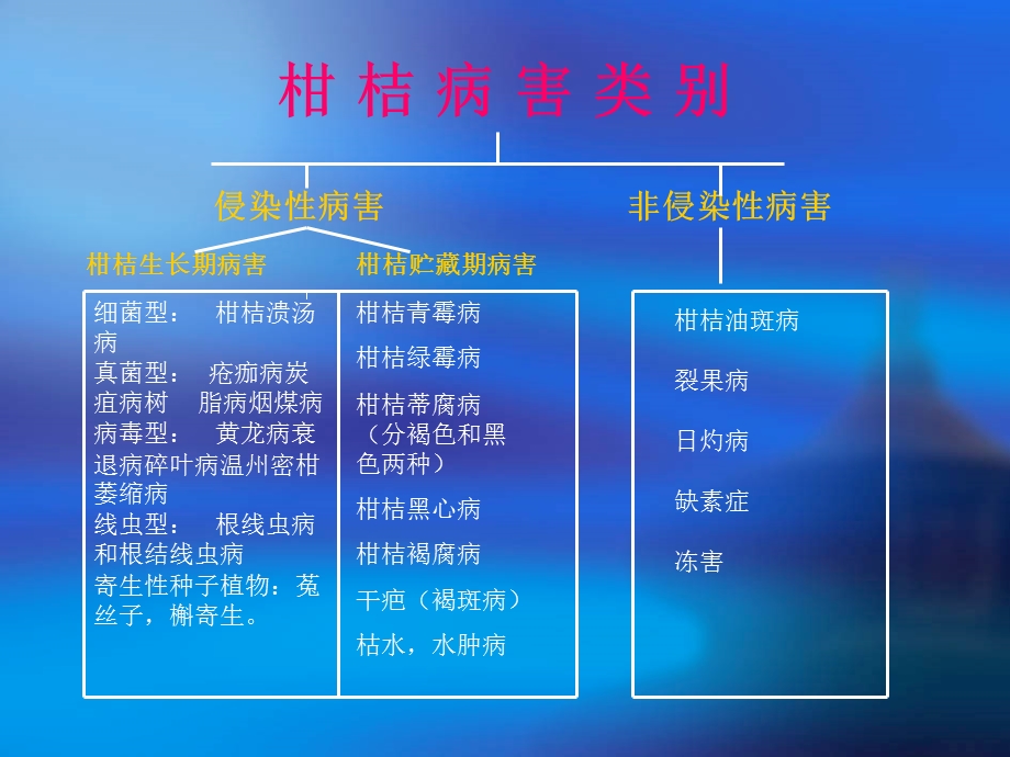 柑橘常见病虫害.ppt_第3页