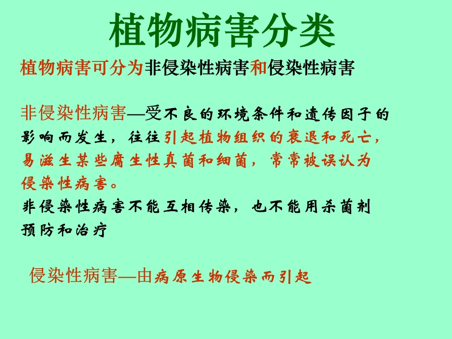 柑橘病虫害防治技术.ppt_第2页