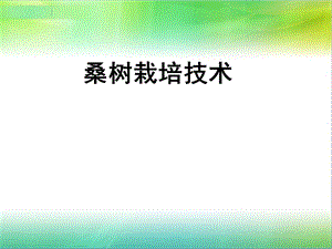 桑树栽培技术.ppt