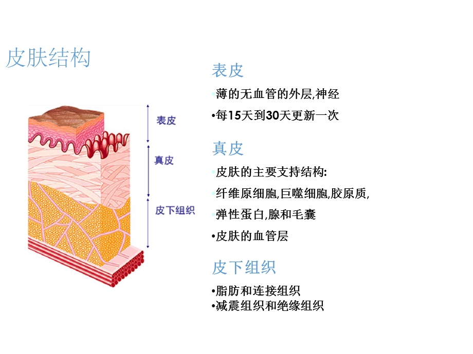 新型敷料临床应用.ppt_第3页