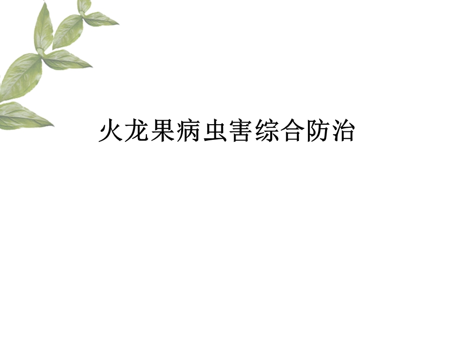 火龙果病虫害.ppt_第1页