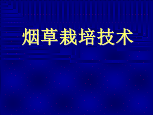 烟草栽培技术.ppt