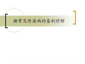 猪常见传染病的鉴别诊断.ppt