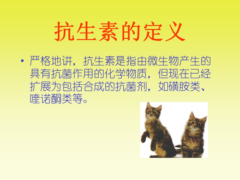 犬猫临床抗生素的应用.ppt_第2页