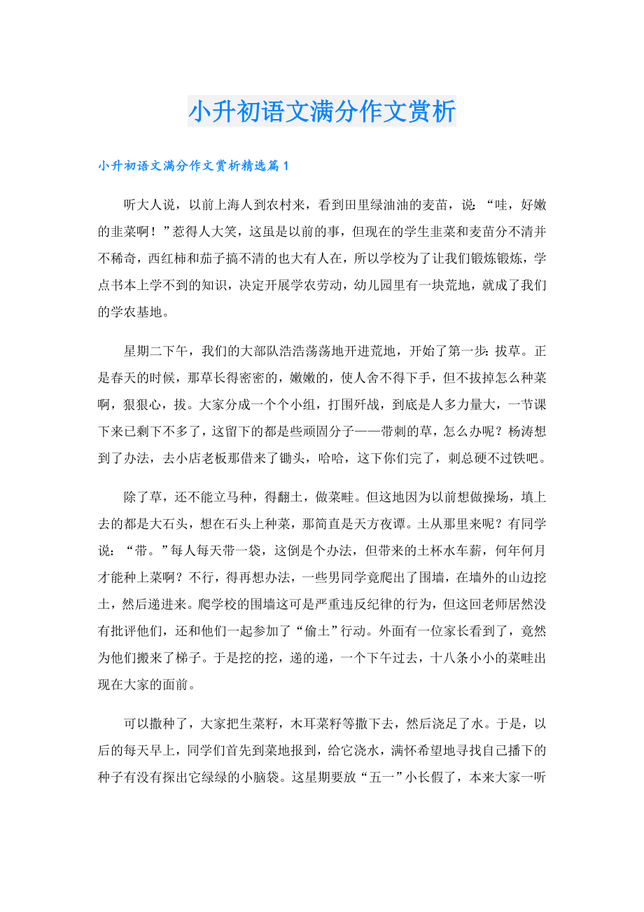 小升初语文满分作文赏析.doc_第1页