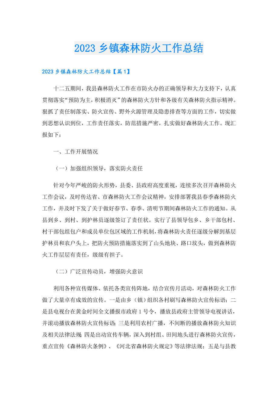 2023乡镇森林防火工作总结.doc_第1页