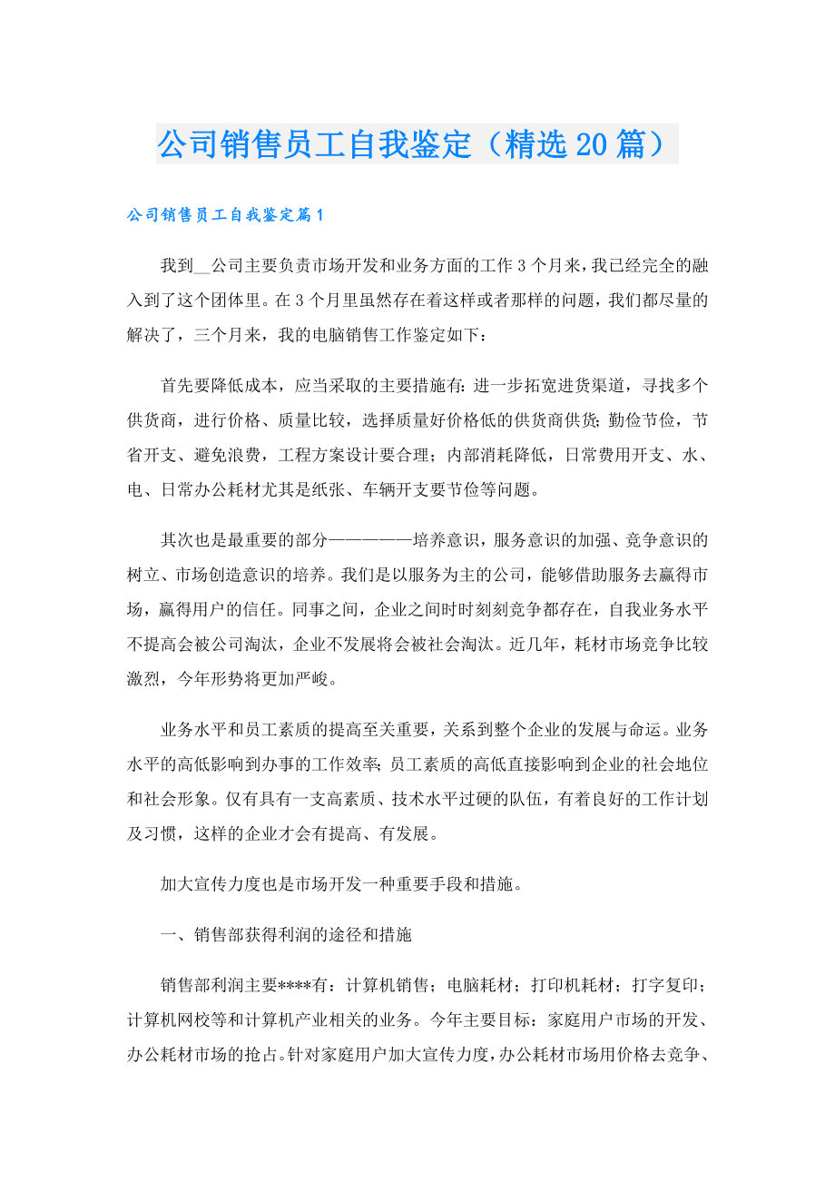 公司销售员工自我鉴定（精选20篇）.doc_第1页