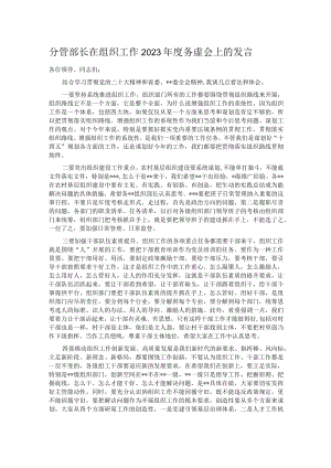 分管部长在组织工作2023年度务虚会上的发言.docx