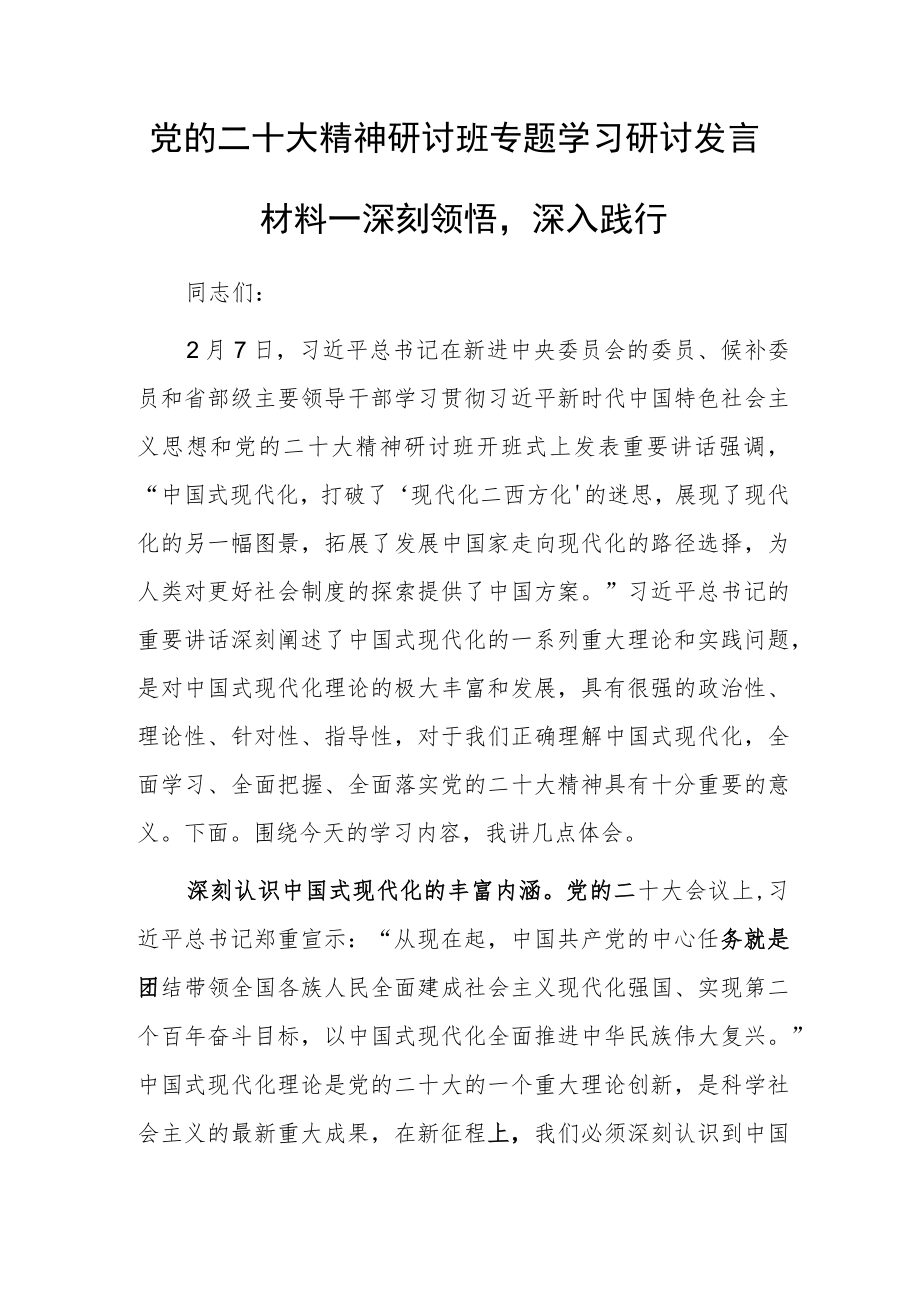 党的二十大精神研讨班专题学习研讨发言材料—深刻领悟深入践行.docx_第1页