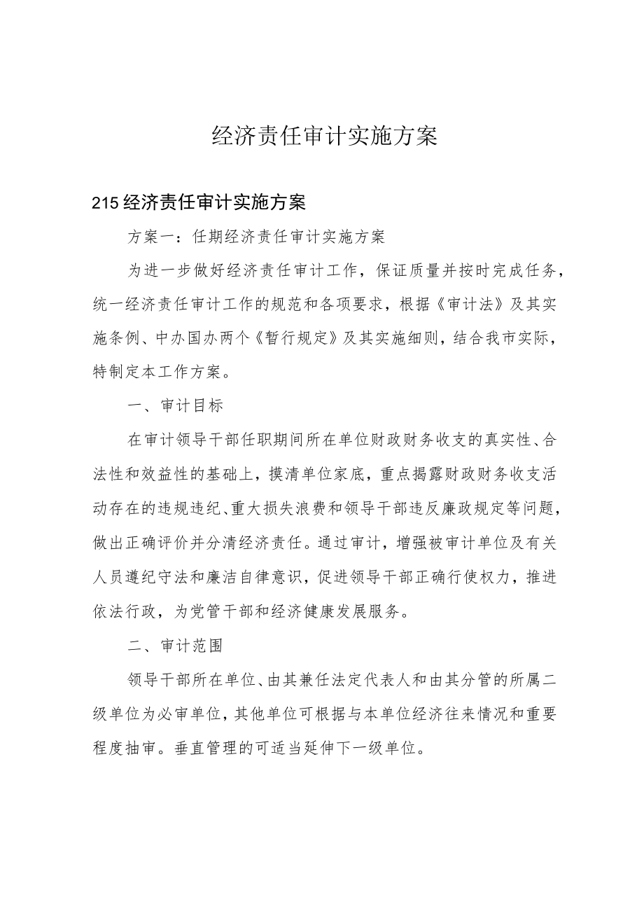 经济责任审计实施方案.docx_第1页