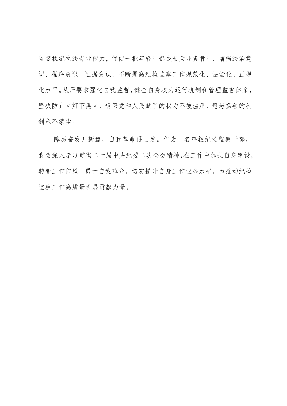 学习二十届中央纪委二次全会精神交流发言.docx_第3页