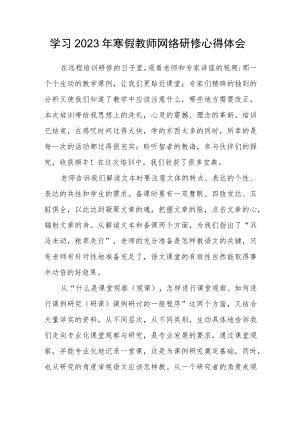 2023年度小学教师寒假网络研修心得体会范文.docx