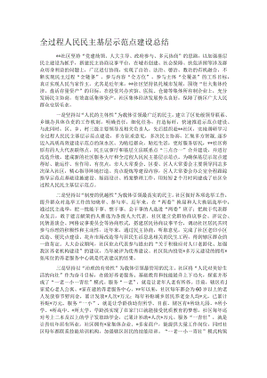 全过程人民民主基层示范点建设总结.docx