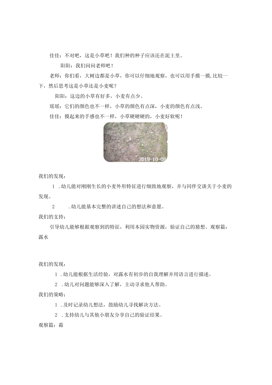 追随幼儿探究的脚步——我们和小麦的故事 论文.docx_第3页