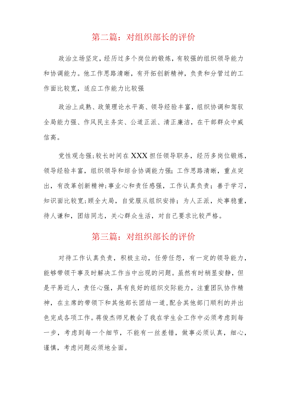 对组织部长的评价5篇.docx_第2页