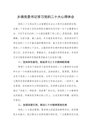 乡镇党委书记学习党的二十大心得体会通用版(三篇).docx