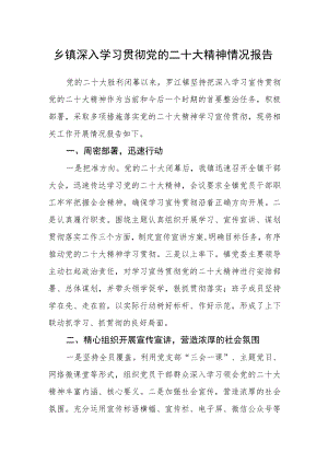 乡镇深入学习贯彻党的二十大精神情况报告.docx